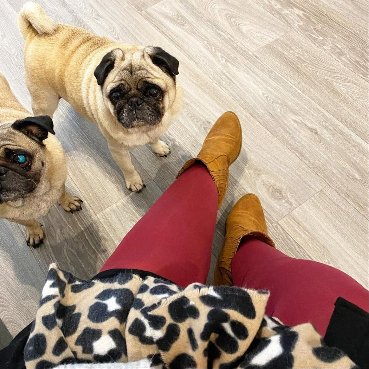 80 Denier Tights - Burgundy