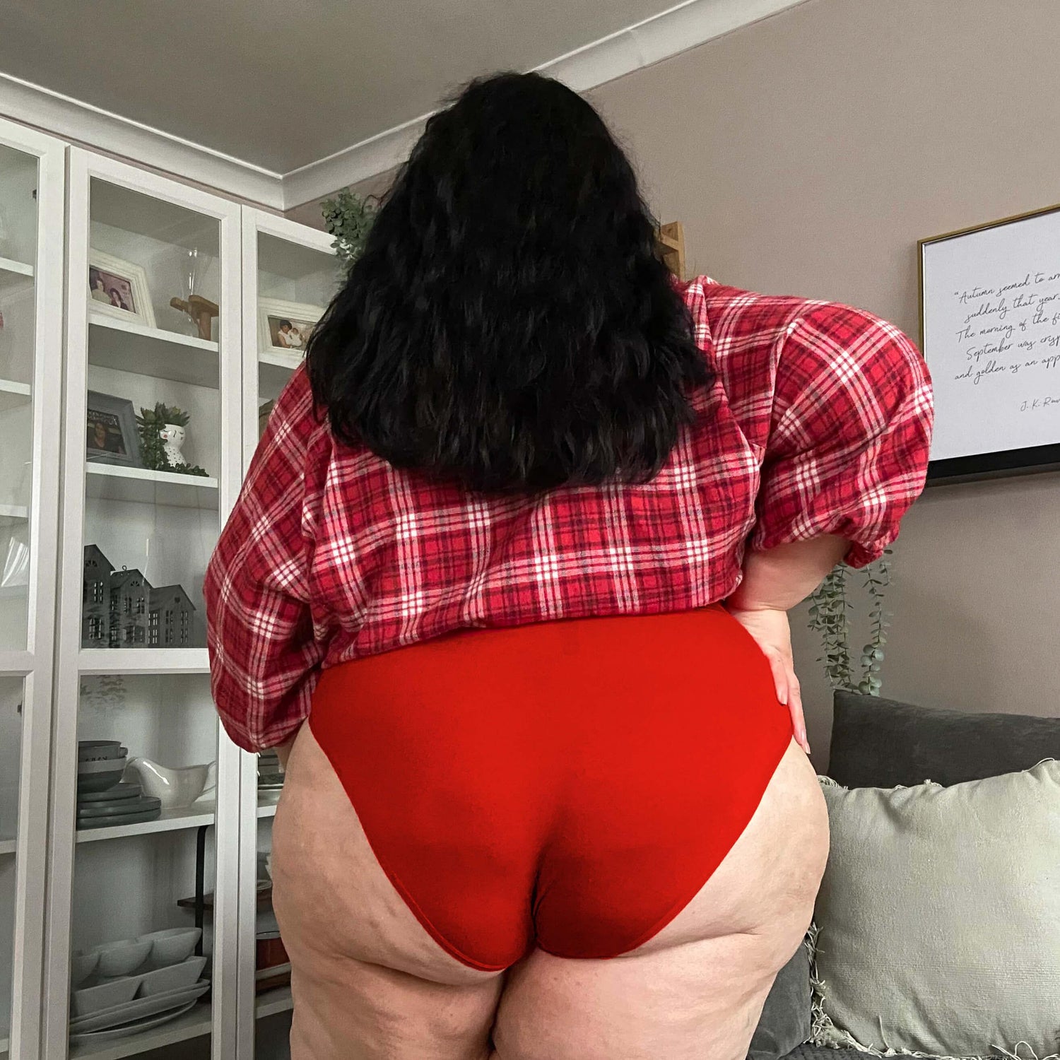 Organic Cotton Super High Leg Knickers - Lobster