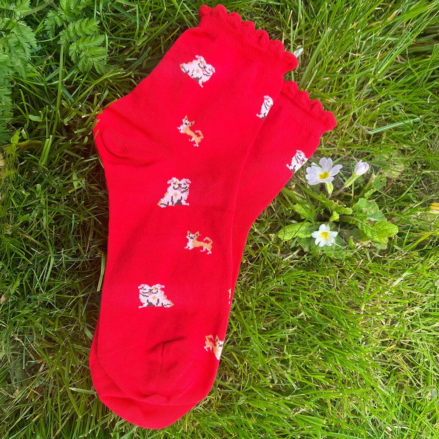 Bamboo Ankle Socks - 3 Pair Mystery Bundle